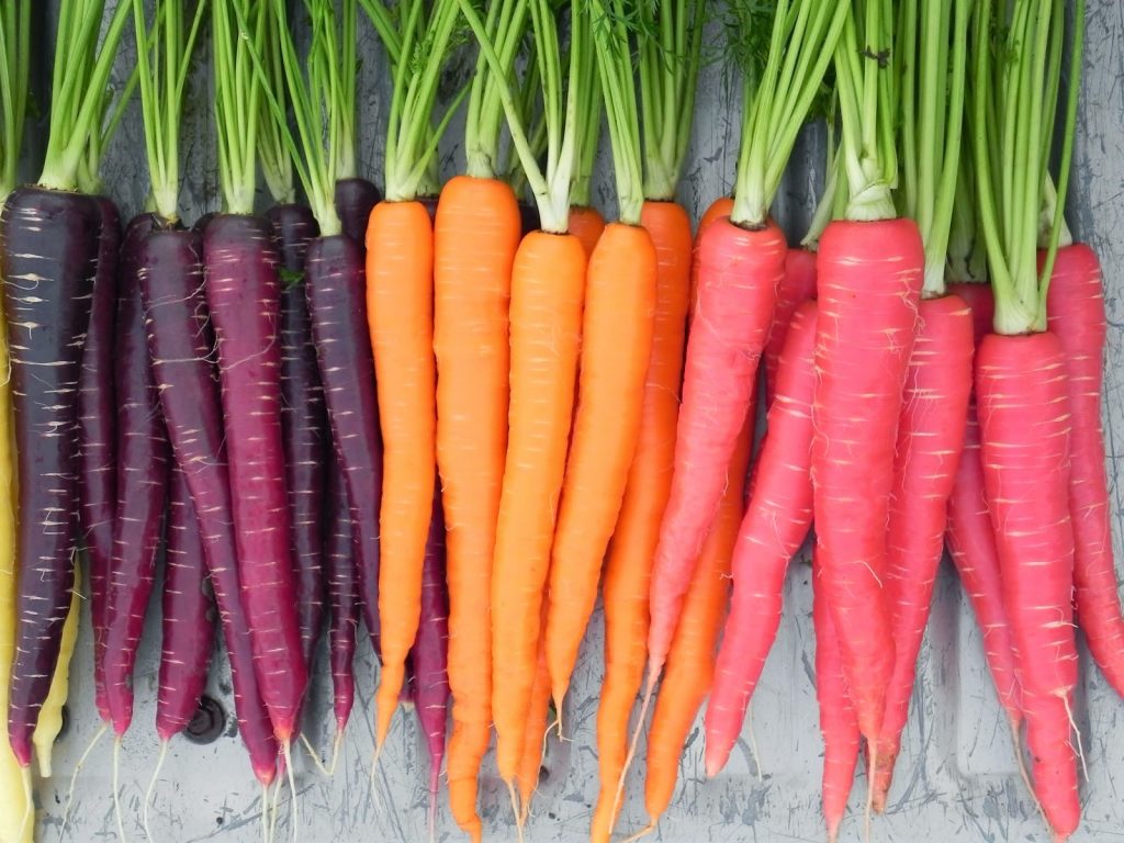 Cà rốt thực phẩm giúp giảm cân